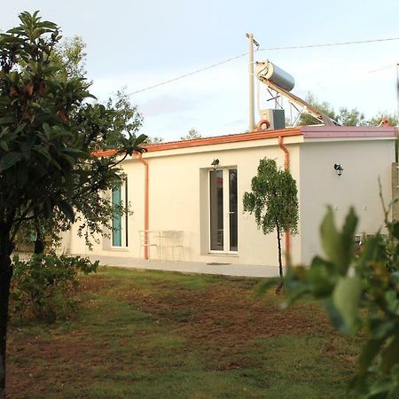 Al 101...Sogni... Apartment Villa San Pietro Ngoại thất bức ảnh